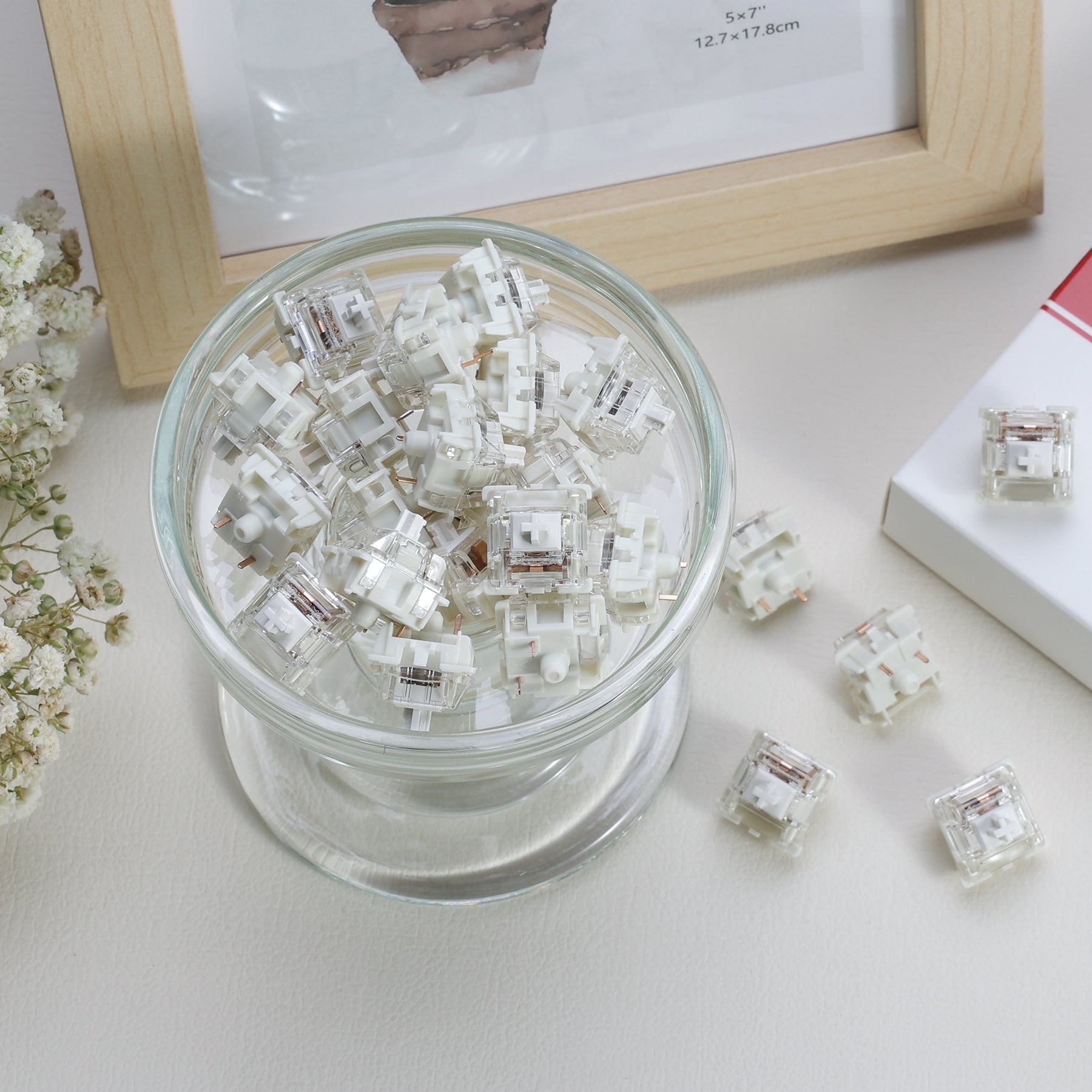 Gateron G Pro 3.0 White Linear Switches