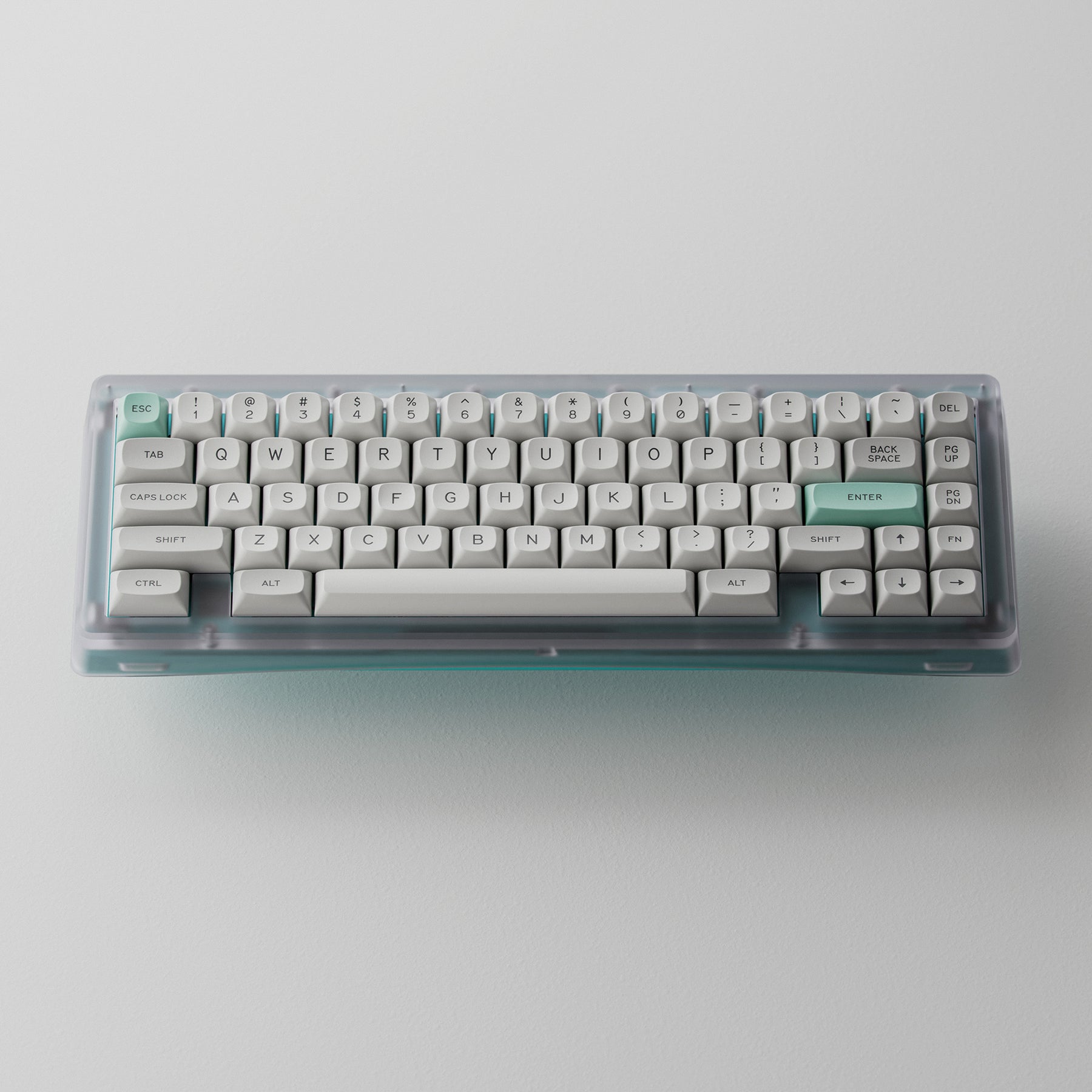 Bauer 65