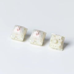 Switches x 100