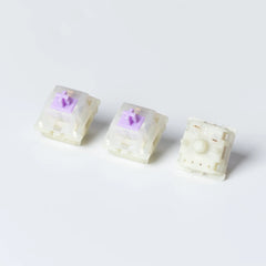 Switches x 30