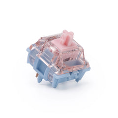Switches x 70