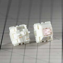 Switches x 30